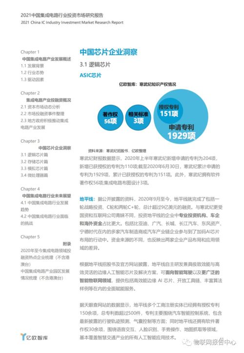 2021年中國集成電路設計行業(yè)投資市場研究報告